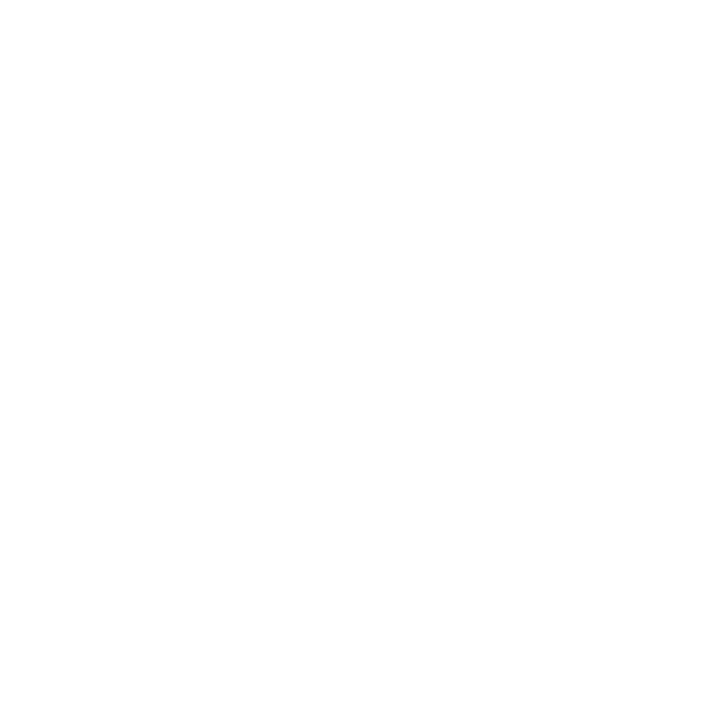 Vision Forensic Engineering